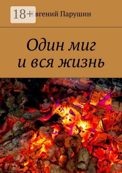 Один миг и вся жизнь