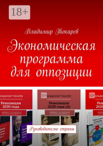 Экономическая программа для оппозиции. Руководителю страны