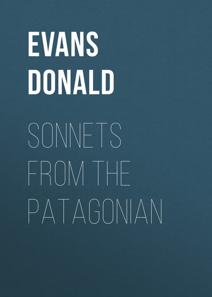 Sonnets from the Patagonian
