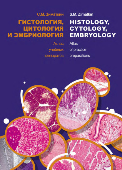 Гистология, цитология и эмбриология. Атлас учебных препаратов / Histology, Cytology, Embriology. Atlas of practice preparations