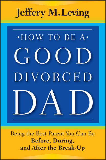 How to be a Good Divorced Dad. Being the Best Parent You Can Be Before, During and After the Break-Up