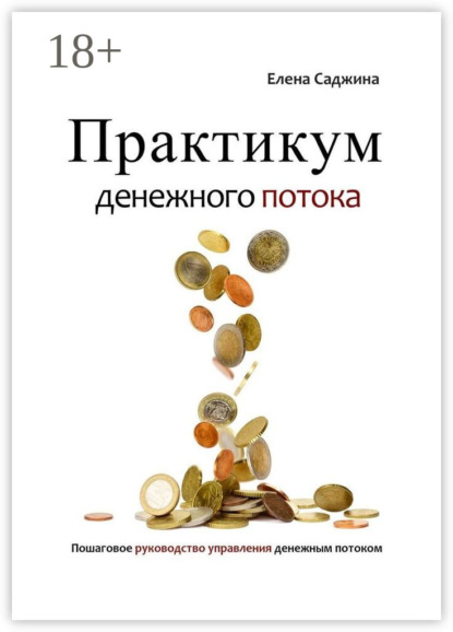 Практикум денежного потока. Пошаговое руководство управления денежным потоком