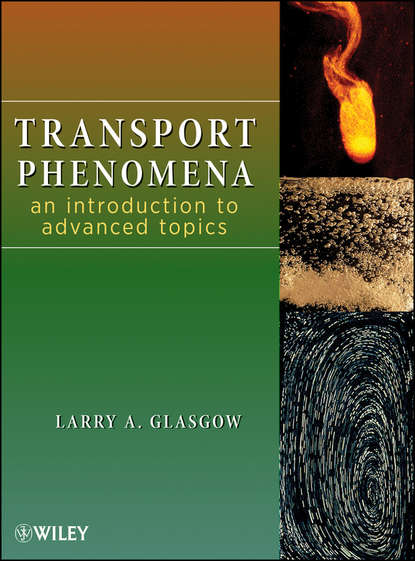 Transport Phenomena. An Introduction to Advanced Topics