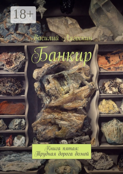 Банкир. Книга пятая: Трудная дорога домой