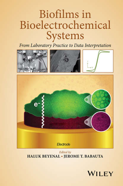 Biofilms in Bioelectrochemical Systems. From Laboratory Practice to Data Interpretation