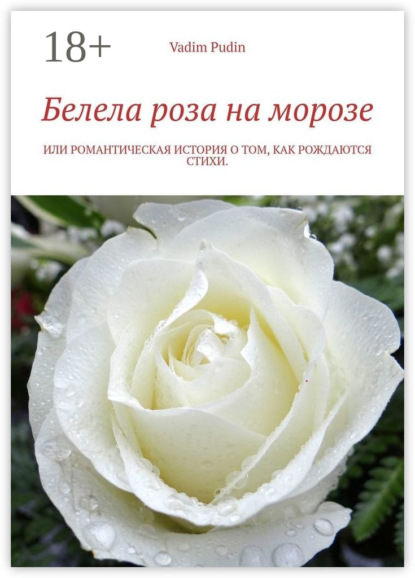 Белела роза на морозе. Или романтическая история о том, как рождаются стихи