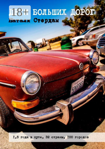 Дети больших дорог. 1,5 года в пути, 32 страны, 100 городов