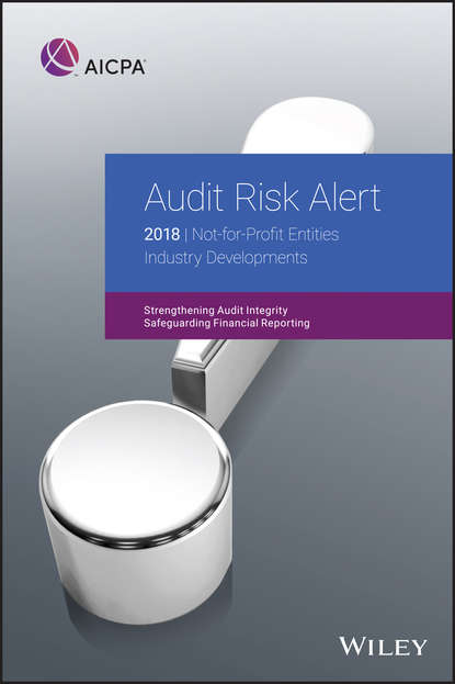 Audit Risk Alert