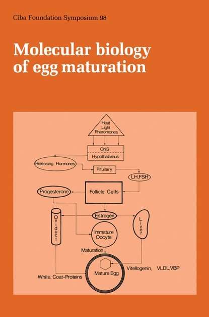 Molecular Biology of Egg Maturation
