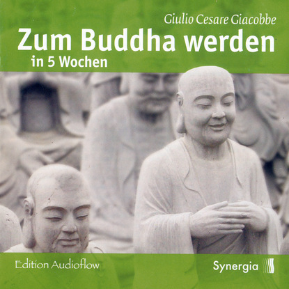 Zum Buddha werden in 5 Wochen, Episode 1