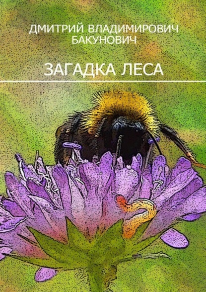 Загадка леса