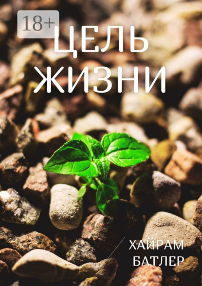 Цель жизни