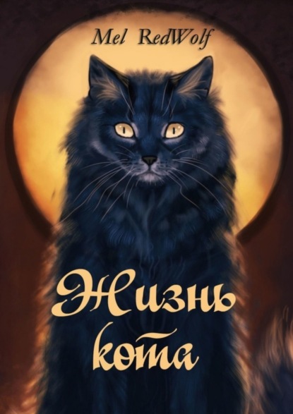 Жизнь кота