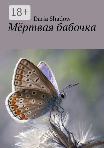 Мёртвая бабочка