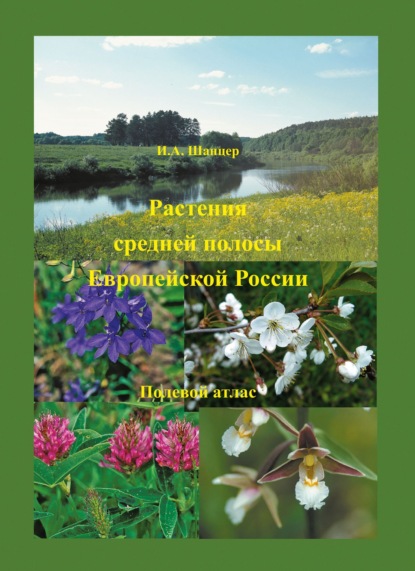 Растения средней полосы Европейской России. Полевой атлас