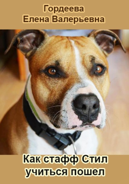 Как стафф Стил учиться пошел