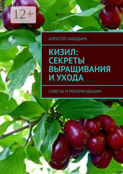 Кизил: секреты выращивания и ухода. Советы и рекомендации
