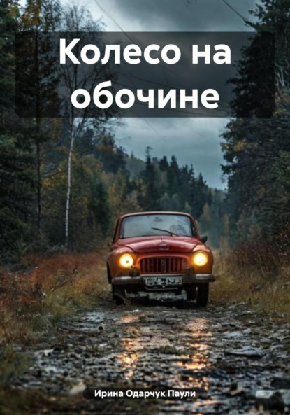 Колесо на обочине