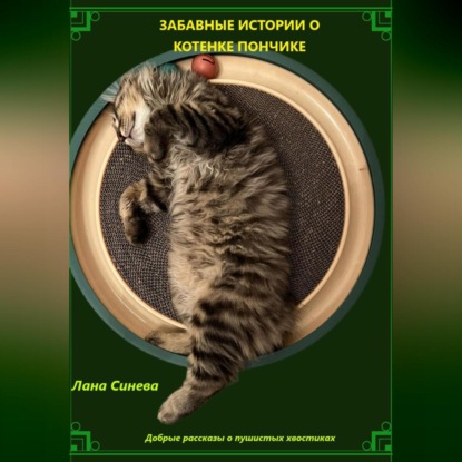 ЗАБАВНЫЕ ИСТОРИИ О КОТЕНКЕ ПОНЧИКЕ