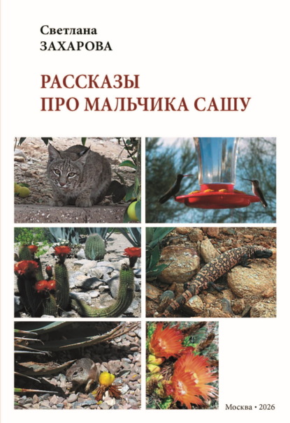 Рассказы про мальчика Сашу