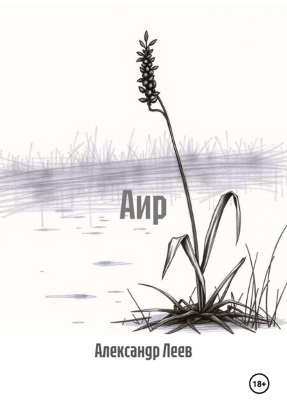 Аир