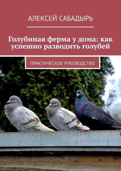 Голубиная ферма у дома: как успешно разводить голубей. Практическое руководство