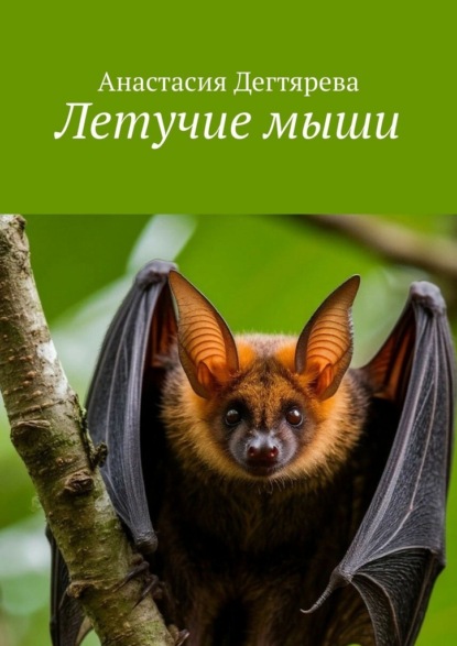 Летучие мыши