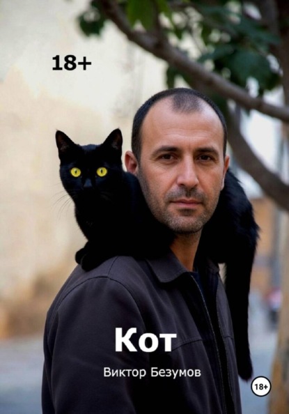 Кот