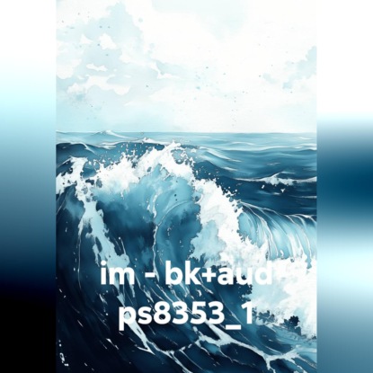 im – bk+aud ps8353_1