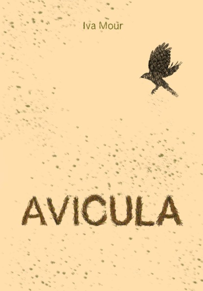 Avicula