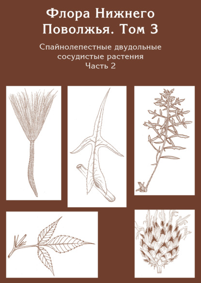 Флора Нижнего Поволжья. Том 3. Часть 2. Спайнолепестные двудольные сосудистые растения (Asteraceae). Дополнения к предыдущим томам