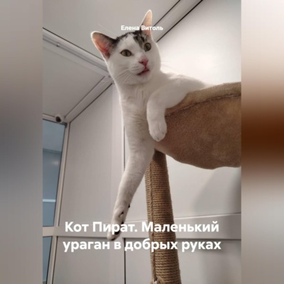 Кот Пират: Маленький ураган в добрых руках