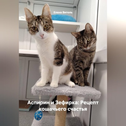 Аспирин и Зефирка: Рецепт кошачьего счастья
