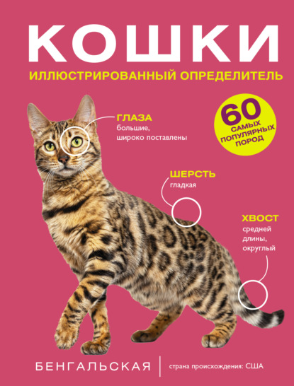 Кошки. 60 самых популярных пород. Иллюстрированный определитель