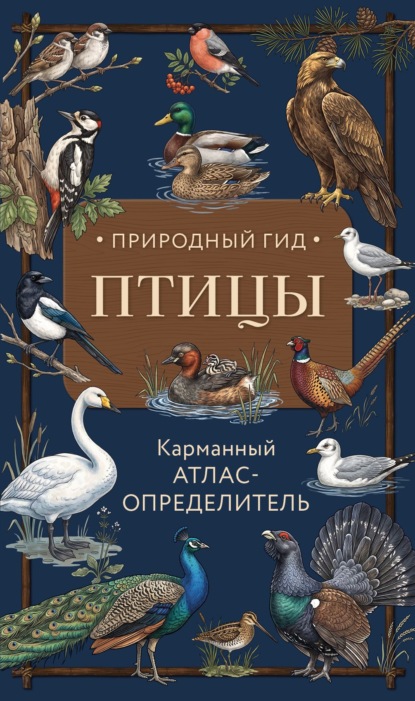 Птицы. Карманный атлас-определитель
