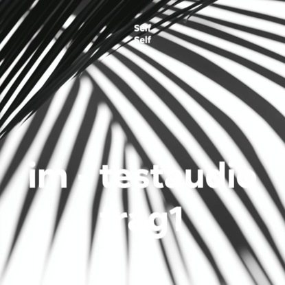 im – testaudio frag1