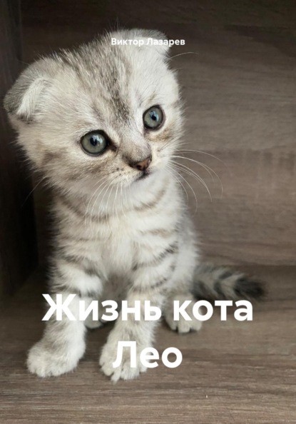 Жизнь кота Лео