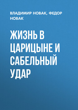 Жизнь в Царицыне и сабельный удар