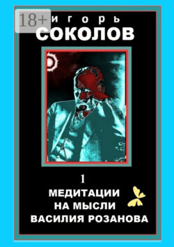 Медитации на мысли Василия Розанова. Том 1