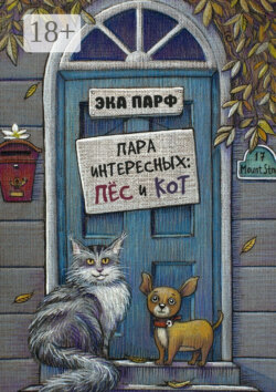 Пара интересных: пёс и кот
