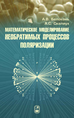 Математическое моделирование необратимых процессов поляризации