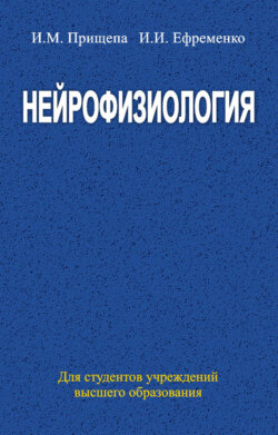 Нейрофизиология