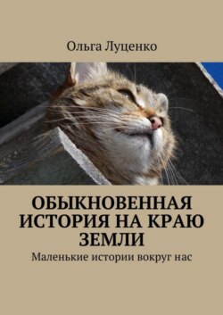 Обыкновенная история на краю земли. Маленькие истории вокруг нас