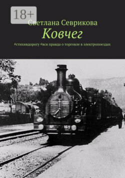Ковчег. #стихивдорогу #вся правда о торговле в электропоездах