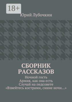 Сборник рассказов. Ночной гость. Армия, как она есть. Случай на педсовете. «Взвейтесь кострами, синие ночи…»