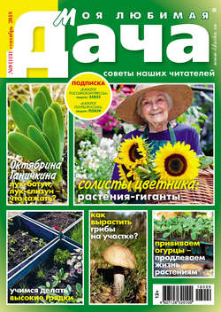 Моя любимая дача №9/2018