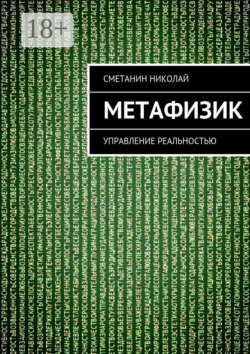 Метафизик. Управление реальностью