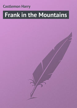 Frank in the Mountains