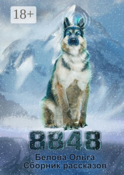 8848. Сборник рассказов