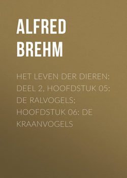 Het Leven der Dieren: Deel 2, Hoofdstuk 05: De Ralvogels; Hoofdstuk 06: De Kraanvogels